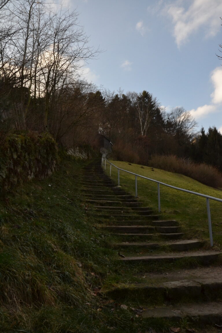 Festung_Königstein1
